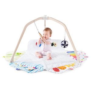 Baby Gym & Play Mat 